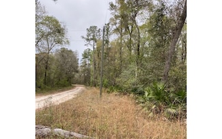 17 SE Elisha Blvd Lot 55, Branford, FL 32008
