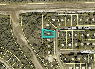 1959 Walcott Loop, Lehigh Acres, FL 33972