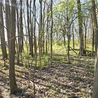 0 Tilby Rd, North Royalton, OH 44133