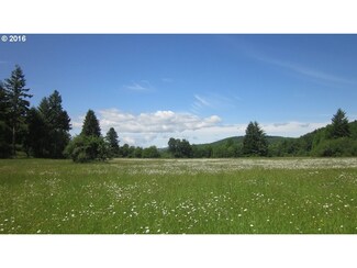 0 St Hwy 506 Unit 16232356, Vader, WA 98593