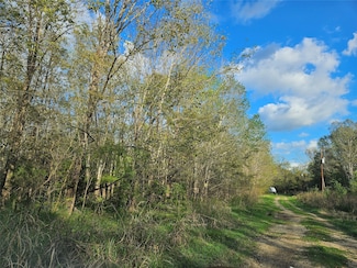 TBD Briar Hill Ln, Coldspring, TX 77331