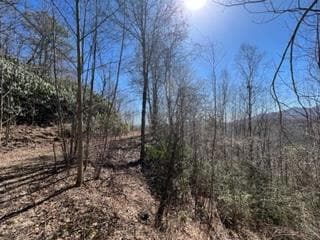 Lot 9 Sunset Dr, Topton, NC 28781
