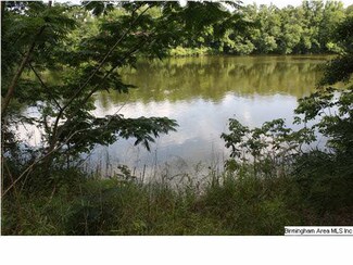 1200 Cherokee Dr, Ragland, AL 35131