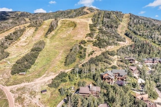 TBD Ski Trail Ln, Steamboat Springs, CO 80487