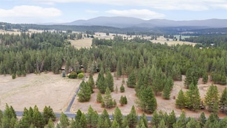 28202 N Bruce Rd, Chattaroy, WA 99003