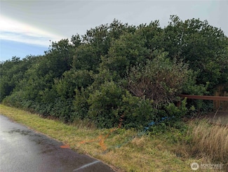 430 Salina Cruz Ave SW, Ocean Shores, WA 98569