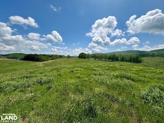 0 Horne Hollow Rd Tract B, Sugar Grove, VA 24375