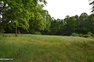 443 Highway 305 N, Olive Branch, MS 38654