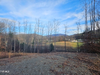 000 Galax Dr, Erwin, TN 37650