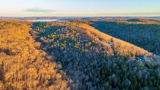 0 Mountain Estate Dr, Pine A Township, MO 65611