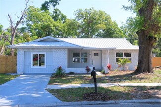 1012 Sagamore Dr, Seffner, FL 33584