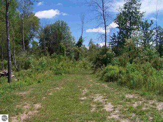TBD Bard Rd, Beaverton, MI 48610