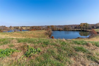 000 County Highway 217, Chaffee, MO 63740