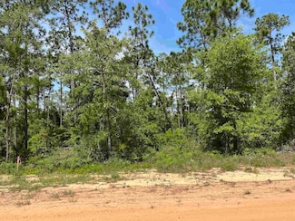 Tbd Holly Springs Ave, Alford, FL 32420