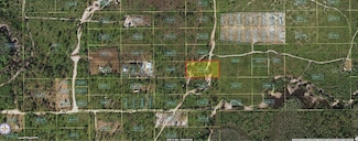0 Holopaw Groves Rd Unit MFRO6241741, Saint Cloud, FL 34773