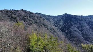 Lot 84 Black Rock Creek, Cherokee, NC 28779