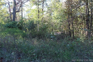 0 Dogwood Dr, Buffalo Township, MO 65078