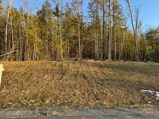 Lots27-28-29-30 Sawmill Rd, New Boston, NH 03070
