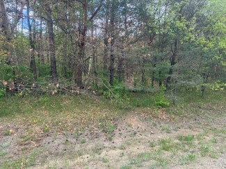 0 S Ironwood Ave Unit C 24023242, Grant Township, MI 49327