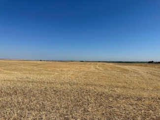 0 W Pioneer Rd, Los Banos, CA 93635