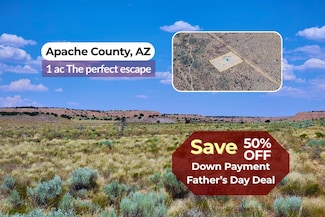 0 U S Highway 191, Chambers, AZ 86502