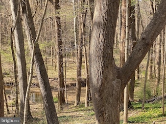 11800 Glen Mill Rd, Rockville, MD 20854