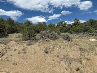 Lot 34 Unit 4 Talavera Sd, Tierra Amarilla, NM 87575