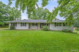 12225 Peter Moore Ln, de Soto, MO 63020