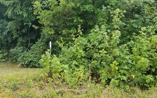 LT 20 Ellis Cir, Chatsworth, GA 30705
