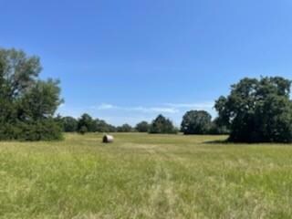 TBD B Fm 3396 Unit 20 Acre, Kemp, TX 75143