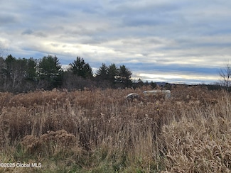 295 Shellstone Rd, Florida, NY 12010