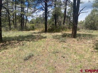 70 Kay's Ct, Pagosa Springs, CO 81147