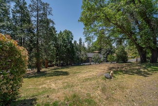 533 Forest Meadows Dr, Murphys, CA 95247