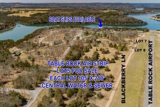 22335 Blackberry Ln, White River Township, MO 65658