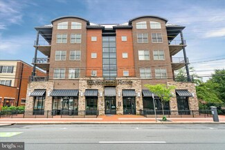 113 E Main St Unit 303, Newark, DE 19711