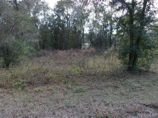 6700 E Haynes Ln, Inverness Highlands South, FL 34452