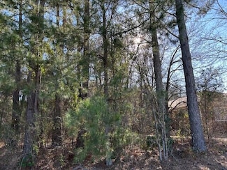 3115 S Carolina 9, Cheraw, SC 29520