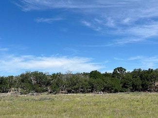 tbd Narrows Rd Unit 41, Blanco, TX 78606