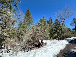 0 Big Rock Dr, Idyllwild-Pine Cove, CA 92549