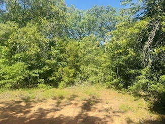 000, Blossom, TX 75416
