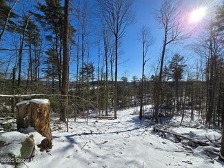 51 County Route 2, Putnam Station, NY 12861