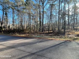 0 Oak Leaf Dr Unit M178227, Stockbridge, GA 30281