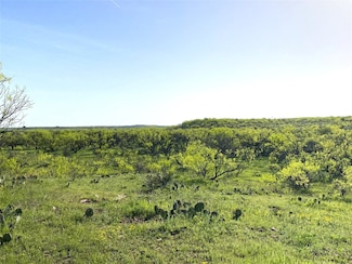 333 Acres County Road 414, Throckmorton, TX 76483