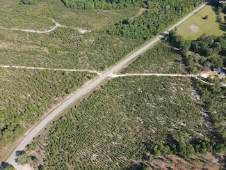 Tract 10 Mount Zion Rd Unit 10, Camden, SC 29020