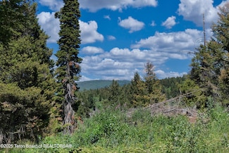3642 Sorensen Creek Parcel 1, Victor, ID 83455