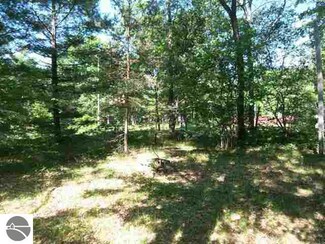 7314 Shoreward Trail, South Branch, MI 48761