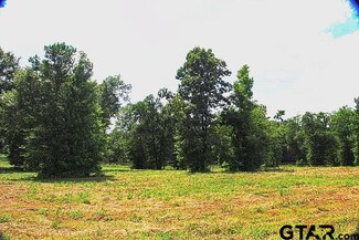 865 Stone Chimney Rd (Lot 7 Cr 3608), Bullard, TX 75757