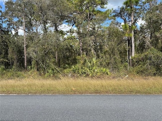 10351 Wood Owl Ave, Weeki Wachee, FL 34614