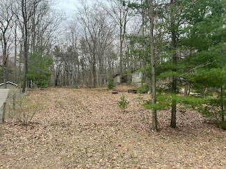 Lot #62 N 14th Ave, Mears, MI 49436
