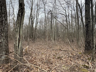 Lot 895 Hornbeam Ct 895 Ct, Long Pond, PA 18334
